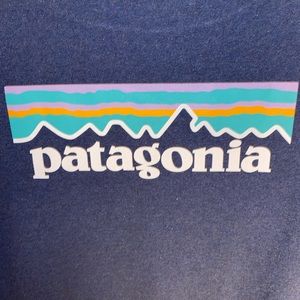 Mens XS Patagonia Shirt